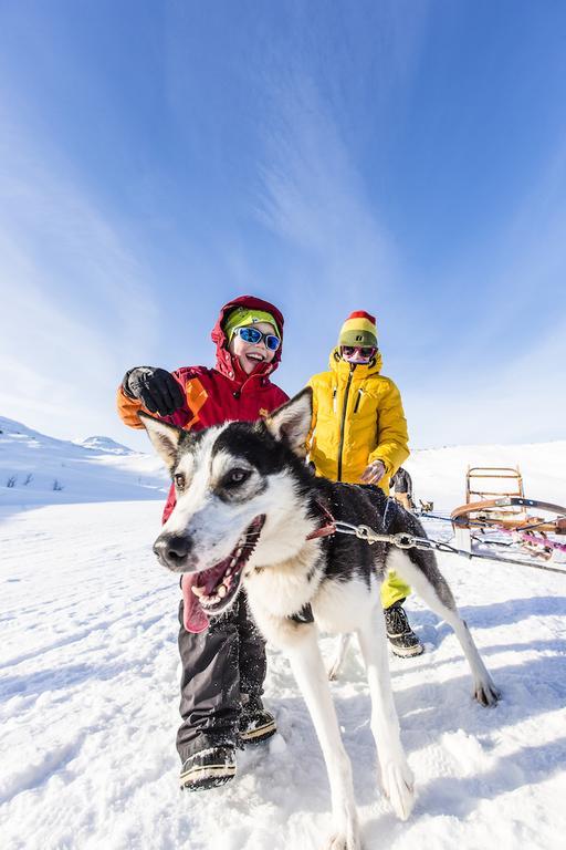 Hotell Fjaellet Bjorkliden  Luaran gambar